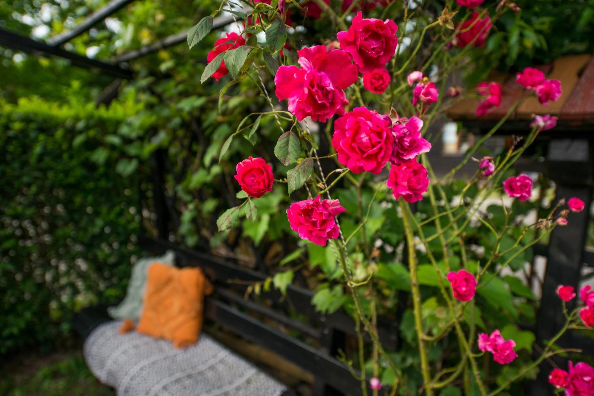 Вилла Boho House 1 Camp Terme Catez With Promotional Tickets Prices Чатеж-об-Сави Экстерьер фото